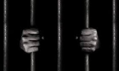 السجن 13 عامًا لباحثة ماجستير بالمنصورة لاتهامها بتعذيب وإجبار نجلها على التسول