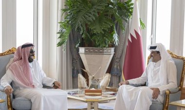 أمير قطر يستقبل مستشار الأمن الوطني الإماراتي