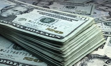 القبض على أجنبي لاتجاره فى المخدرات والعملات بالسيدة زينب