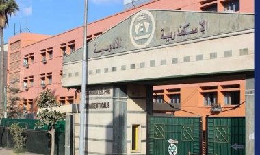 وزير قطاع الأعمال: هناك توجيه بتحقيق الاكتفاء الذاتي من المستلزمات الطبية الحيوية مثل «بنج الأسنان»