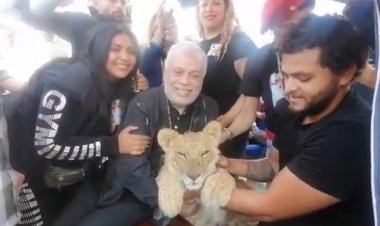 لينا الحلو تدعم أشرف زكي في انتخابات المهن التمثيلية بالأسد بتاعها