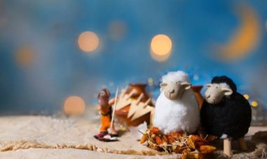 موعد عيد الأضحى 2023 في مصر