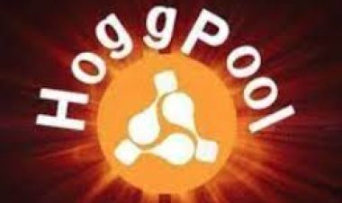 نصبوا على الشباب.. القبض على عدد من المتورطين في واقعة منصة «هوج بول»