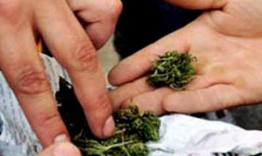 القبض على سائق بحوزته «2 كيلو أفيون» بالقاهرة