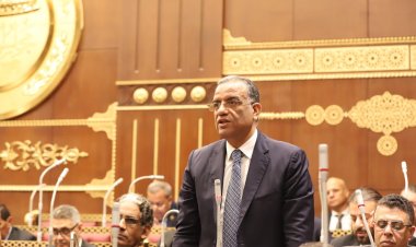 رئيس ثقافة الشيوخ يطالب بوجود مجلس أعلى للثقافة للإرتقاء بالفنون وحماية الهوية