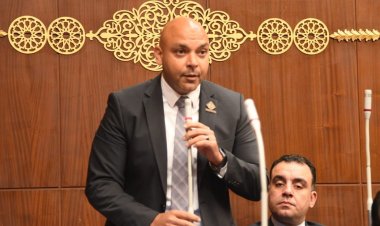 النائب محمود القط: قصور الثقافة عصب الوعي المجتمعي ودورها هام لمقاومة الفكر المتطرف