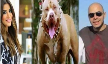 النائبُ العامُّ يأمرُ بحبسِ متهم مسئول عن كلب عقَرَ جارَهُ بالشيخِ زايد