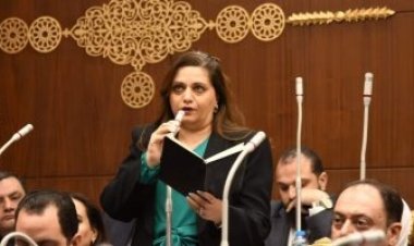 أبرزها الإعفاء من جمارك السيارات.. برلمانية تقترح 4 حوافز للمصريين المقيمين بالخارج