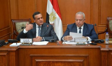 «التنمية المحلية» تُعلن  تنفيذ 10 آلاف مشروع رصف طرق و250 كوبرى بتكلفة 70 مليار جنيه