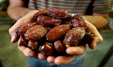 الأردن.. جمعية التمور تنفي تداول صنف مجهول محلي مع آخر مجهول الهوية
