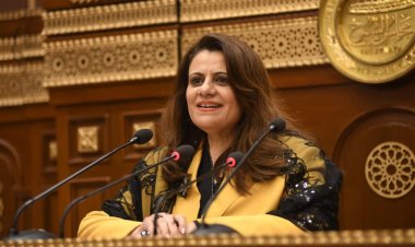 وزيرة الهجرة تستعرض جهود الوزارة في رعاية المصريين بالخارج أمام  الشيوخ