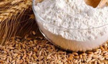 روسيا تتوسع في تصدير الدقيق بديلاً  للقمح 