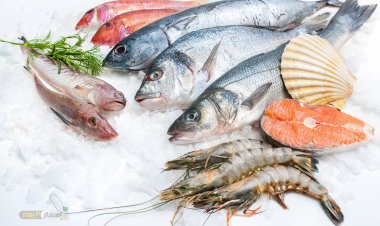 أسعار السمك اليوم في القاهرة