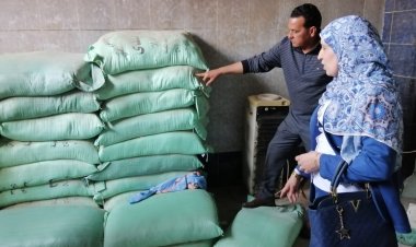 حملات تموينية ونظافة بمدن مطوبس وبيلا وسيدي غازي والبرلس