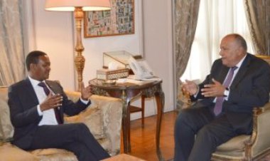شكري ونظيره الكيني يؤكدان عمق علاقات التعاون بين البلدين