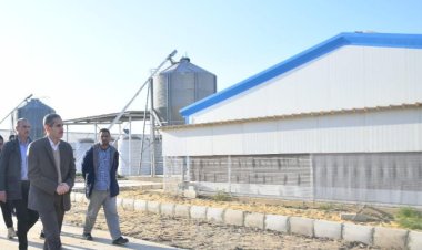 محافظ الغربية يتفقد مشروع محطة إنتاج البيض بكفر الشيخ سليم