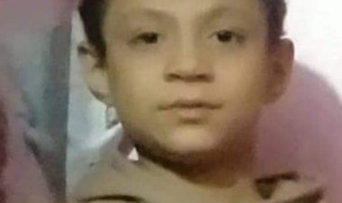 «نهشه حيوان مفترس».. العثور على جثة الطفل المتغيب داخل الزراعات في قنا