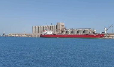 ميناء دمياط يستقبل أكبر شحنة قمح في تاريخه