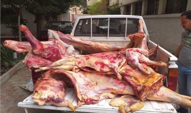 تحرير 6 مخالفات تموينية وضبط لحوم مذبوحة خارج المجازر بالمنيا