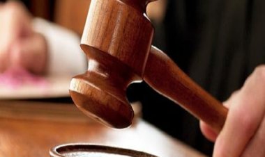 جنايات كفر الشيخ تعاقب فلاح بالمؤبد لقتله شقيقه