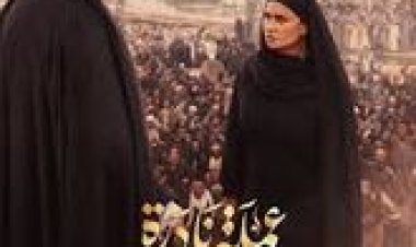 ملخص حلقة الـ 17 من «عملة نادرة»