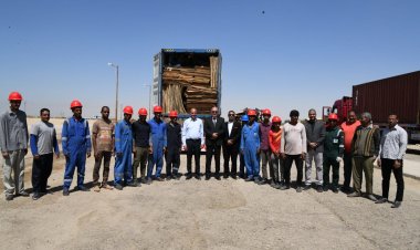 محافظ قنا يطلق إشارة بدء تصدير أول شحنة ألواح الكونتر ومشتقاته إلى الصين