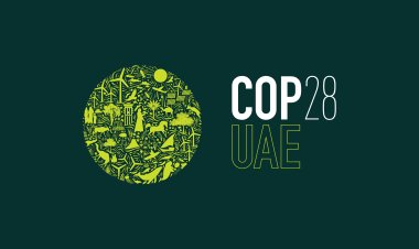 «الطريق إلى COP 28».. بصمات شبابية خالدة في سجل الإنجازات الوطنية