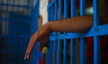 السجن 7 أعوام لعامل بتهمة الشروع في سرقة «توك توك» بقنا