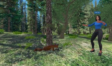 حلقة خاصة من «زووم إفريقيا»  عن عالم الواقع الافتراضي وجولة داخل غابات القارة السمراء