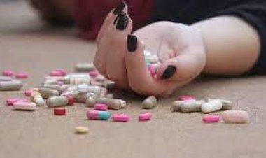 سيدة تُنهي حياتها بتناول حبة الغلال السامة بعد خلافات زوجية