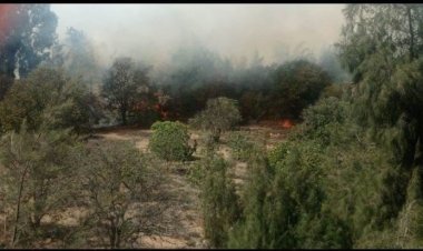 إخماد حريق داخل مزرعة موز بمنطقة المنصورية بالجيزة (صور )