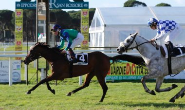 غداً.. 23 خيلاً تتنافس في كأس «الوثبة ستاليون» بإيطاليا