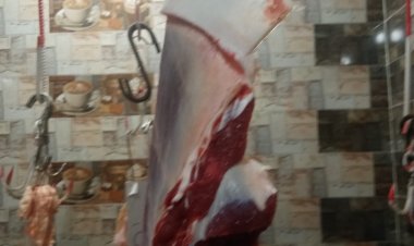 إستعداداً لشهر رمضان.. ضبط طن لحوم ودواجن وأسماك فاسدة بالشرقية