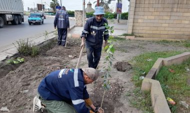 زراعة الأشجار بمدن وقرى مراكز دسوق وقلين وكفر الشيخ ضمن مبادرة 100 مليون شجرة