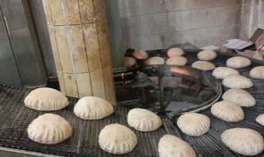 تموين كفر الشيخ: تحرير 35 محضرا لأصحاب المخابز وضبط سلع منتهية الصلاحية