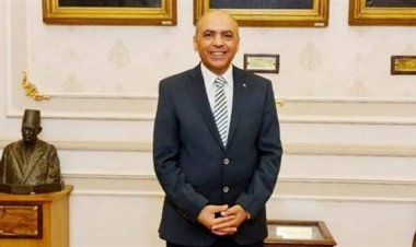 «أبو الفتوح»: الدولة تعمل على تنفيذ المشروعات بالريف المصري على قدم وساق