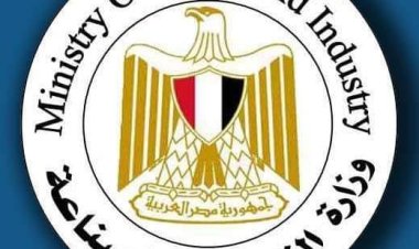 انعقاد الدورة 14 للجنة المصرية الروسية المشتركة للتعاون التجاري والاقتصادي والعلمي والفني
