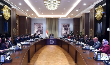 باستثمارات 2 مليار دولار.. شركة صينية تستعد لإنشاء مشروع جديد بمصر