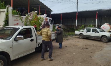 زراعة الأشجار المثمرة تنفيذاً للمبادرة «100 مليون شجرة» بالشرقية