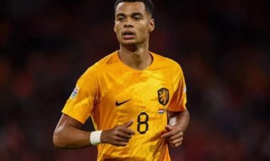 قبل مواجهة فرنسا.. مرض فيروسي يضرب معسكر منتخب هولندا