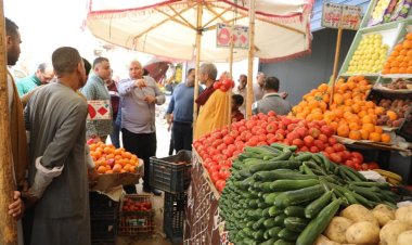 محافظ الوادي الجديد يواصل جولاته المفاجئة بالأسواق ومنافذ مبادرات السلع الغذائية