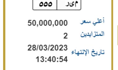 بوابة مصر المرورية.. سعر لوحة سيارة يصل إلى 50 مليون جنيه