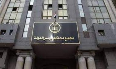 إحالة دعوى اعتبار الأطباء المتوفين بكورونا شهداء للدائرة التاسعة