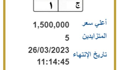 لوحات سيارات مميزة بمليون و500 ألف جنيه ببوابة مصر المرورية