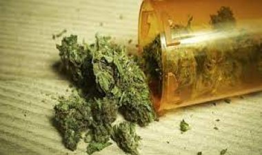 احباط ترويج 20 كيلو من مخدري «الإستروكس والأفيون»