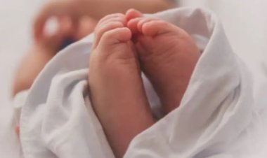 العثور  على جثة طفلة حديثة الولادة ملقاه داخل صندوق القمامة  بالسلام