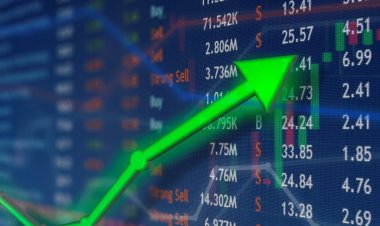 المصريون يستحذون على تعاملات قطاع الورق والتغليف بنسبة 100%