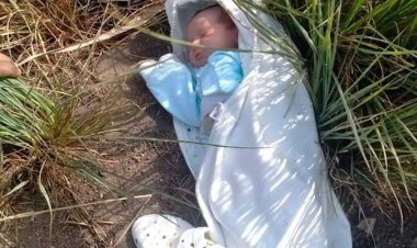 تفريغ الكاميرات لضبط المتهم بإلقاء رضيعة في «صندوق قمامة» بالسلام