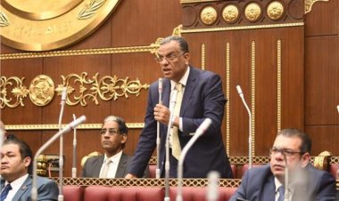 رئيس لجنة الإعلام بالشيوخ: يوجد فجوة بين وعي الشعب وتقديره لذوي الإعاقة