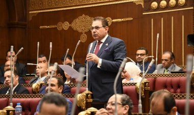 فرج فتحي: الحوار الوطني فرصة جيدة لتبادل الأفكار والرؤي المختلفة